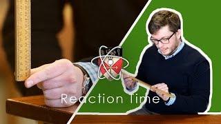 Reaction Time - GCSE Science Required Practical