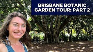 Tour of the Brisbane Botanic Garden