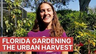 My Mission With The Urban Harvest