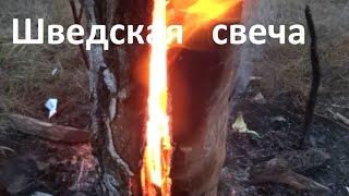 Бушкрафт.  Костер "шведская свеча".  Часть 1.