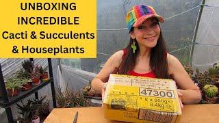 UNBOXING INCREDIBLE Cacti & Succulents & Houseplants #cactus #cacti #succulents #houseplants