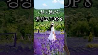 6월에 꼭 가봐야할 경상도 여행지#6월여행지#경상도여행지