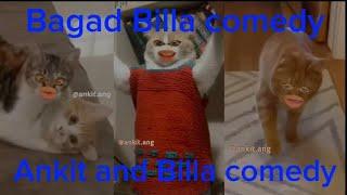 bagad Billa phul comedy  Ankit and Billa comedy  #bagad #billa #viralvideo #comedy