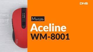 Распаковка мыши Aceline WM-8001 / Unboxing Aceline WM-8001