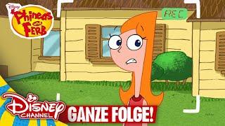 Schnapp sie! - Ganze Folge | Phineas und Ferb