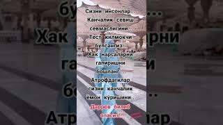 ОДАМЛАР