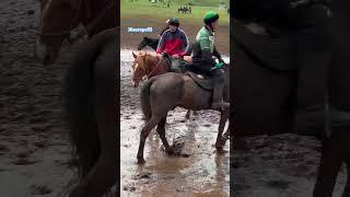 Жанторо93 #kyrgyzstan #horse