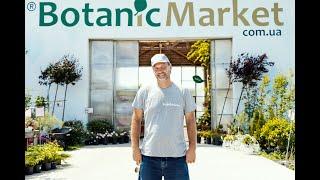 О садовом центре "Botanic Market". Как сделать заказ растений.