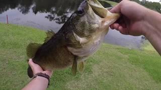 FishNV Takes Florida (part 2) With Another Personal Best Largemouth Bass!!