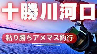 Xデー狙い！夕まずめのアメマス釣行【根掛かり外しの実践あり】fishing in the Tokachi River