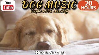 20 HOURS of Dog Calming MusicSeparation Anxiety Relief Music Dog Relaxing Music⭐Healingmate