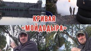 Кривая бухта за Мойдодыром .10.10.22г. Рыбалка. г.Запорожье .