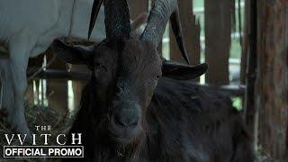 The Witch | Black Phillip | Official Promo HD | A24