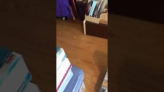 Model Car Community- Video for Robs Model Addiction