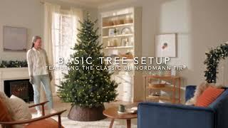 Basic Tree Setup Featuring The Classic Balsam Hill BH Nordmann Fir