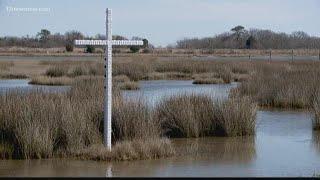 Cross in Poquoson marsh sparks intrigue