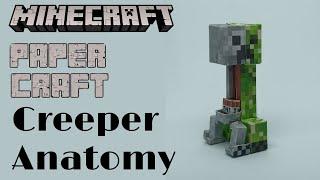 Minecraft Creeper Anatomy Paper Craft