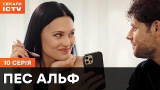 Пес Альф 1 сезон 10 серия | ДЕТЕКТИВЫ | СЕРИАЛ ICTV| КОМЕДИИ