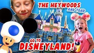 The Heywoods (and TOAD!) Go To Disneyland!