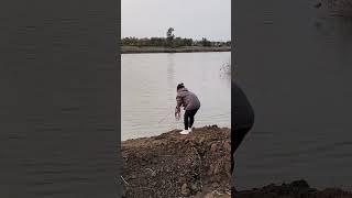 Most Unbelievable Cast Net Fishing Video  2023 fishing Video net fish 8