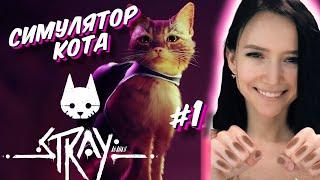 ПЕРВЫЙ ВЗГЛЯД на STRAY - Прохождение на Русском  - СТРЕЙ - #1