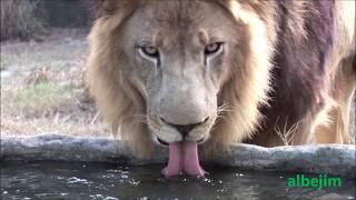 Planet Earth - Life and Nature - PlanetaTierra : Vida y Naturaleza Unicas
