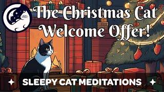 The Sleepy Cat Christmas Treat