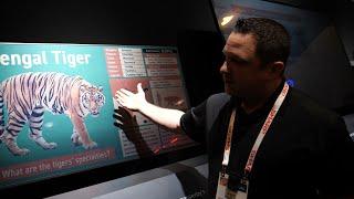 Sharp Booth Tour at #ces2024 Transflective IGZO LCD, Reflective IGZO LCD, Space Solar, Oven, etc