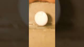 Hot girl #viralvideo #video #adult #hub #shortvideo #bollywood