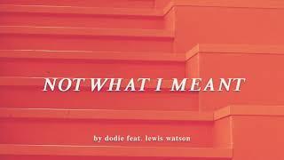 Not What I Meant - dodie feat. Lewis Watson (lyrics)