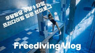 Freediving Vlog | 프리디이빙 입문 일기 브이로그