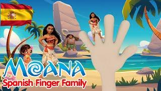 MOANA SPANISH FINGER FAMILY | Belinda TV Nursery Rhymes & Kids Songs