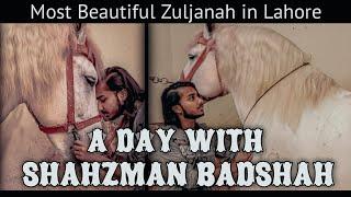 A Day with Shahzman Badshah | Most Beautiful Zuljanah in Lahore | Vlog