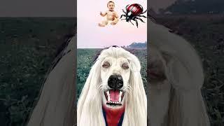 wow cakeflying eatingpapaya vs anar | anaya video |#viral#anayaanayaka video#shorts28