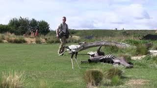 Hawk Conservancy Trust - Wings of Africa