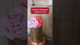 Гидролат Календулы и Розы - основа натуральной косметики Queen оf Oils #календула #гидролаты #роза