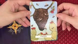 Таро Ведьм ️ Witches Wisdom Tarot . Бюджетная и милая колода, но больше оракул, чем таро.