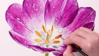 How to paint realistic water droplets in watercolour with Anna Mason
