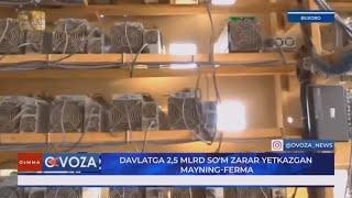 Davlatga 2,5 mlrd so‘m zarar yetkazgan mayning-ferma