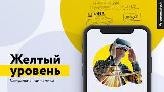 Спиральная динамика от NEUROMAP. Желтый уровень