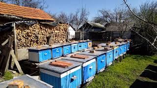 Первый доход  в марте ,или  головная боль