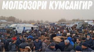 НАВОР ЗУРИ БАД ШУД.МОЛБОЗОРИ КУМСАНГИР. 15 декабря 2024 г