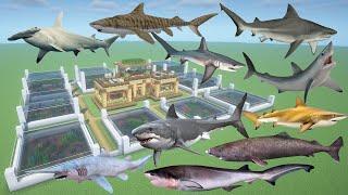 How To Make Every Shark Farm in Minecraft PE