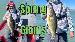 Cayuga Lake Spring Bass Fishing Insanity Part 1 (27+ Pounds)