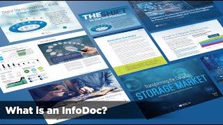 What is an InfoDoc?