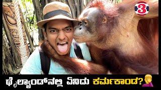 ಬೇಕಿತ್ತಾ ಇದು ನನಗೆ..! | Orangutan‍️ | Thailand Kannada vlog | Dr Bro