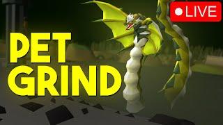 3.6k Zulrah Pet Hunt (42/64) - !join