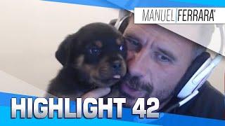 HIGHLIGHTS #42 - ManuelFerraraTV