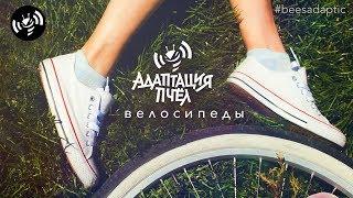 Велосипеды - Адаптация Пчёл | Beesadaptic