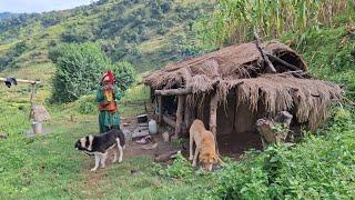 Most Relaxing Nepali Mountain Village Life of Nepal | Daily Activities of Hari Rokaya Village People